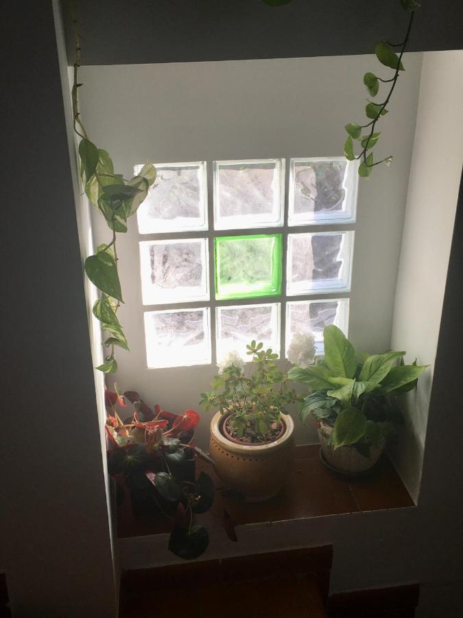 La Granada Konuk evi Orgiva Dış mekan fotoğraf