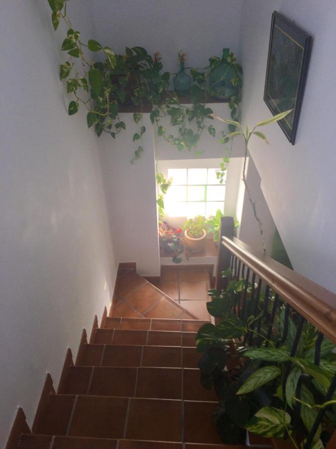 La Granada Konuk evi Orgiva Dış mekan fotoğraf